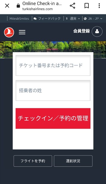 【トルコ航空】航空券が安い!けど機内食はおいしい!